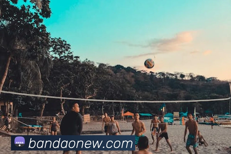 半岛体育官网服务体系